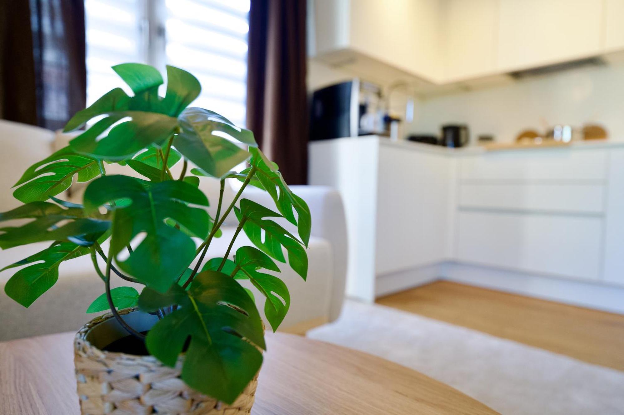 Edler Wohnraum Schwanenteich-Oase Mit Balkon, Kaffeevollautomat, Lift & Parkplatz Διαμέρισμα Τσβικάου Εξωτερικό φωτογραφία